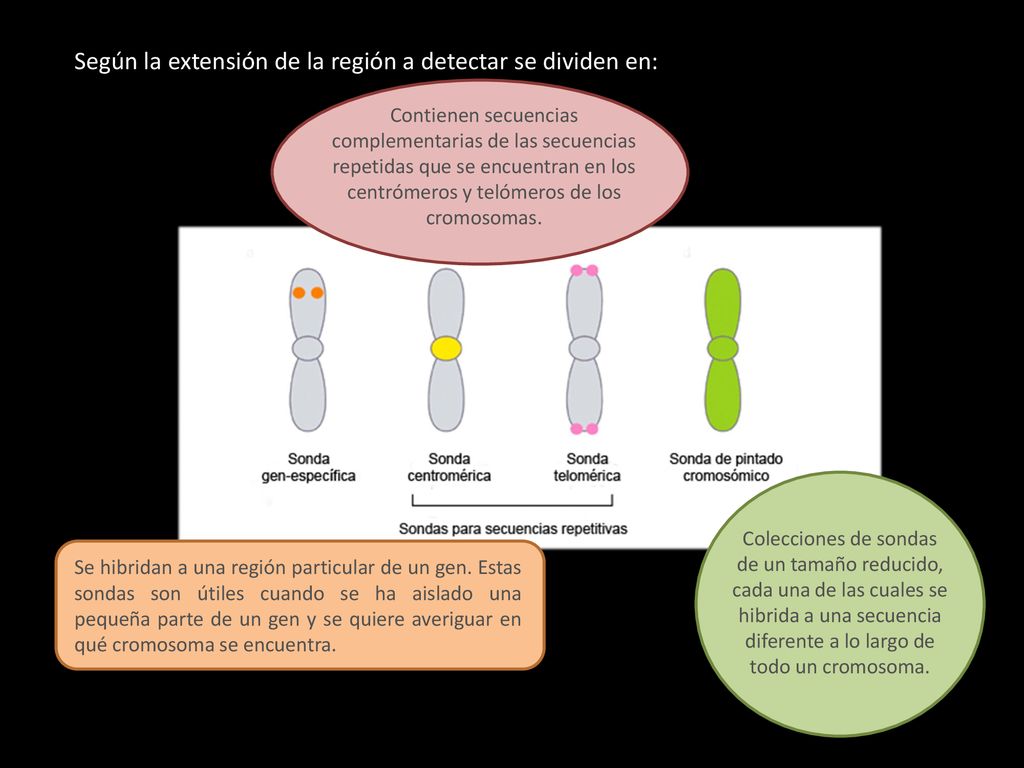 Según la extensión de la región a detectar se dividen en: