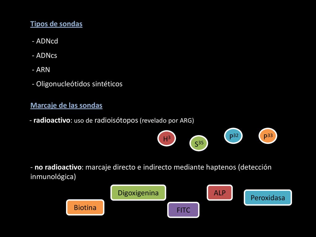Tipos de sondas ADNcd. ADNcs. ARN. Oligonucleótidos sintéticos. Marcaje de las sondas. - radioactivo: uso de radioisótopos (revelado por ARG)