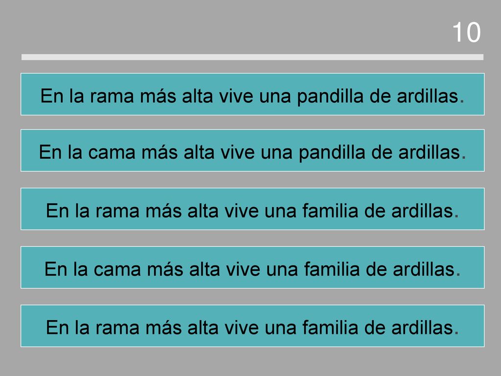 10 En la rama más alta vive una pandilla de ardillas.