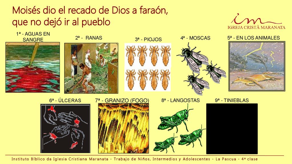 Moisés dio el recado de Dios a faraón, que no dejó ir al pueblo