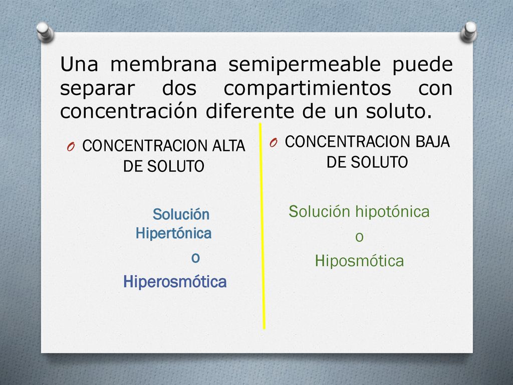 Una membrana semipermeable puede separar dos compartimientos con concentración diferente de un soluto.