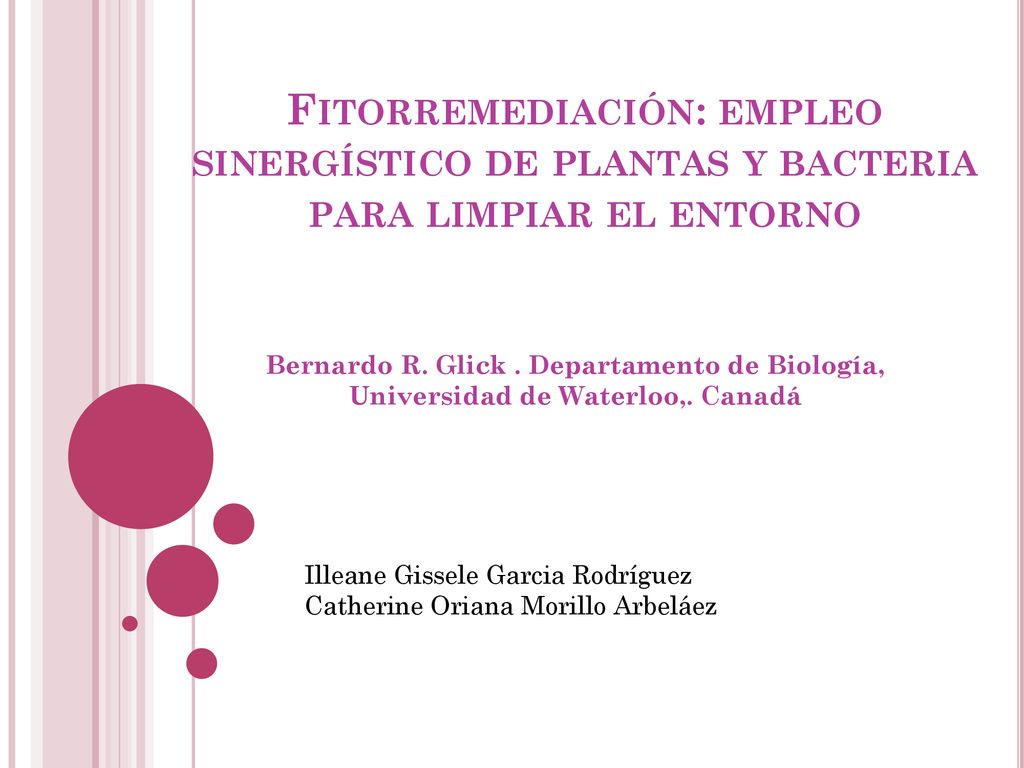 Fitorremediación: empleo sinergístico de plantas y bacteria para limpiar el entorno
