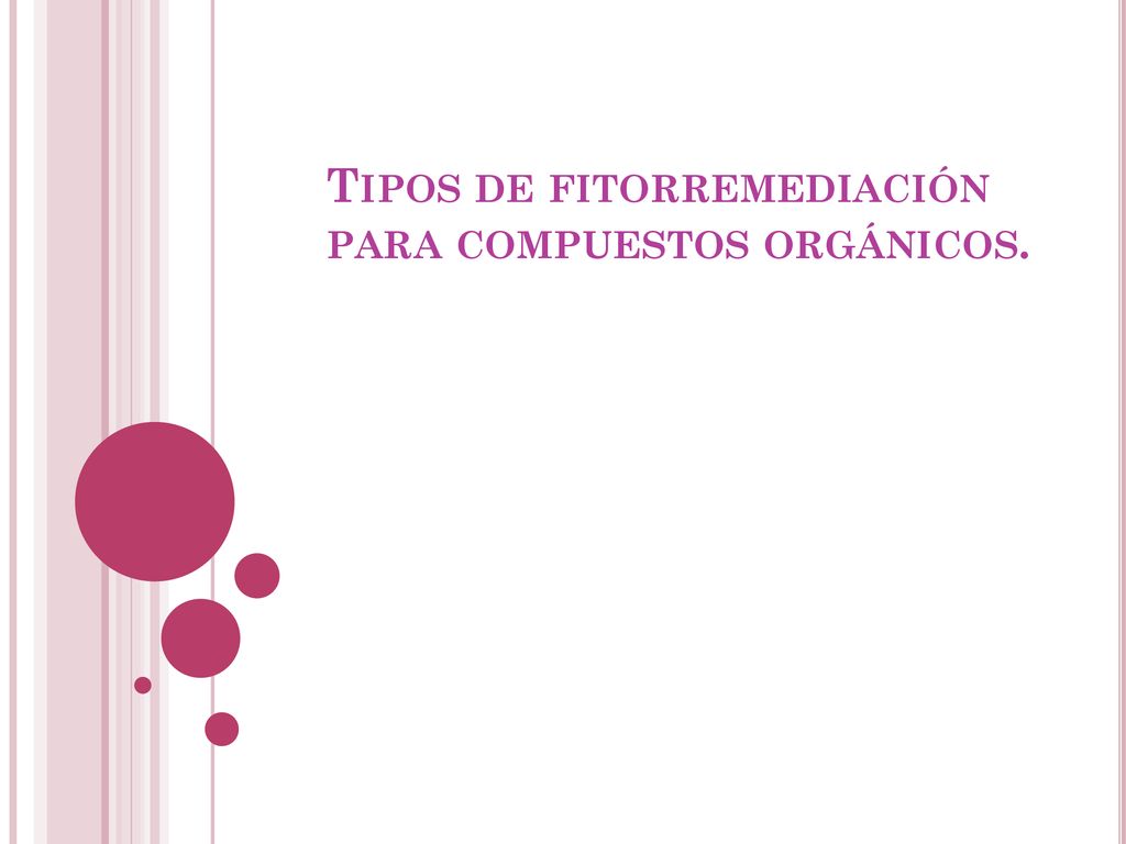 Tipos de fitorremediación para compuestos orgánicos.