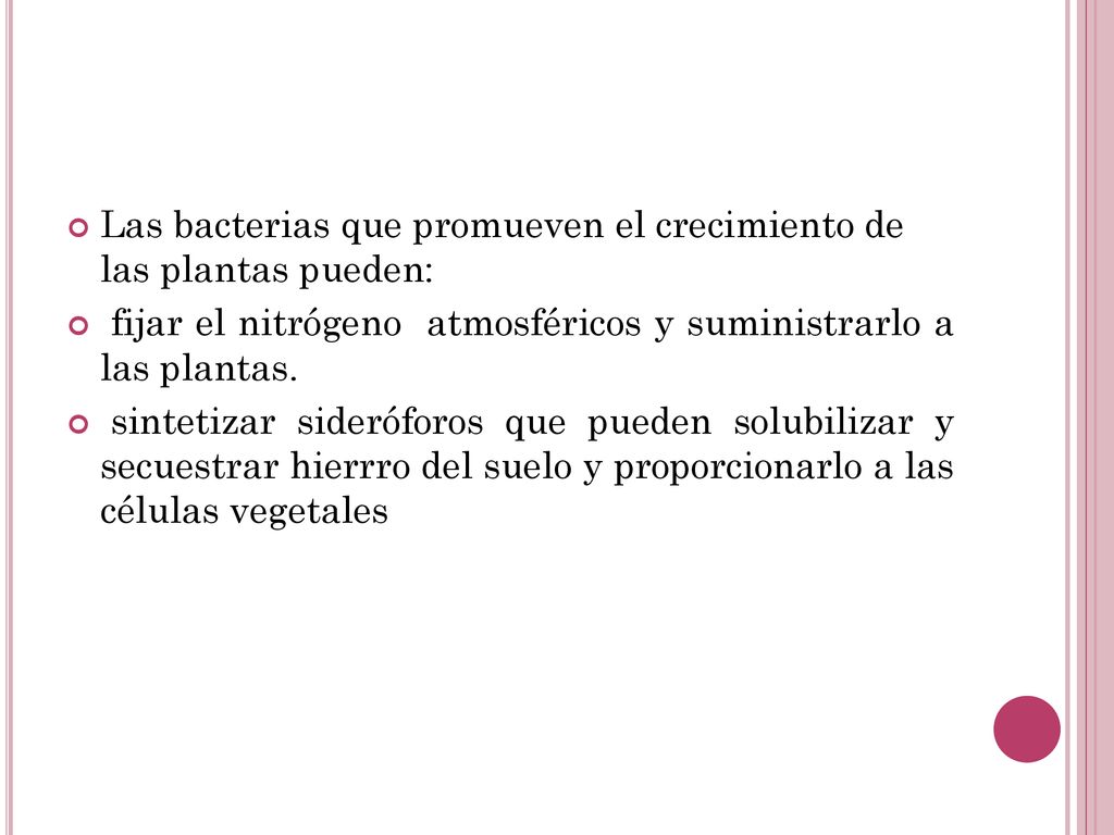 Las bacterias que promueven el crecimiento de las plantas pueden: