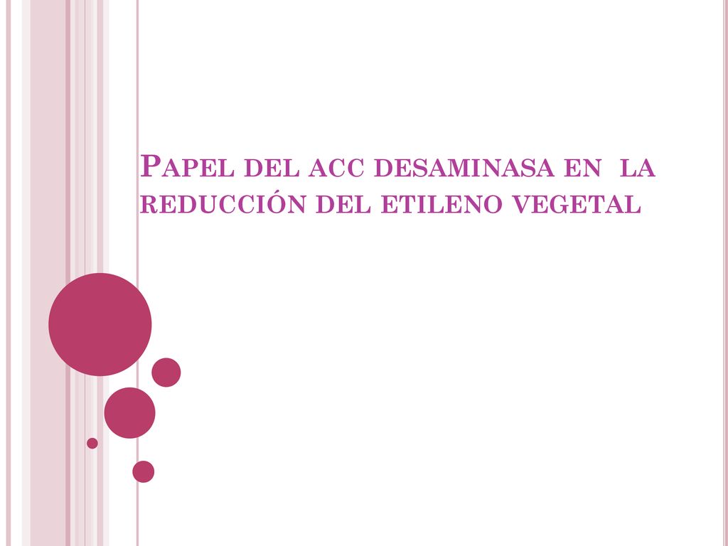 Papel del acc desaminasa en la reducción del etileno vegetal