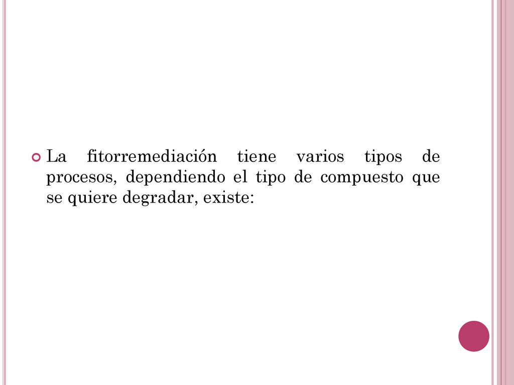 La fitorremediación tiene varios tipos de procesos, dependiendo el tipo de compuesto que se quiere degradar, existe: