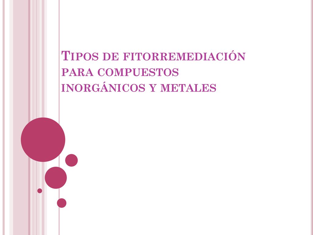 Tipos de fitorremediación para compuestos inorgánicos y metales