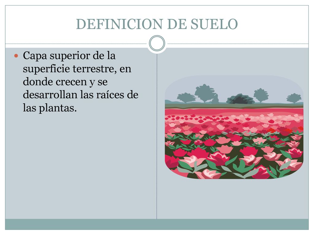 DEFINICION DE SUELO Capa superior de la superficie terrestre, en donde crecen y se desarrollan las raíces de las plantas.