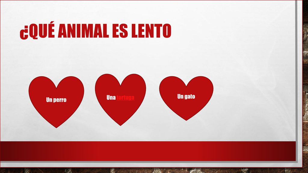 ¿Qué animal es lento Una tortuga Un perro Un gato