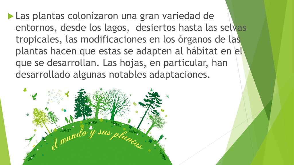 Las plantas colonizaron una gran variedad de entornos, desde los lagos, desiertos hasta las selvas tropicales, las modificaciones en los órganos de las plantas hacen que estas se adapten al hábitat en el que se desarrollan.