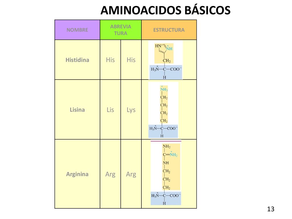 AMINOACIDOS BÁSICOS His Lis Lys Arg Histidina Lisina Arginina NOMBRE