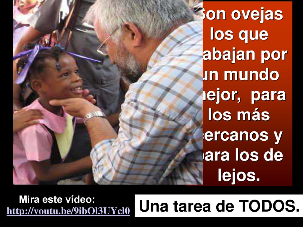 Son ovejas los que trabajan por un mundo mejor, para los más cercanos y para los de lejos.