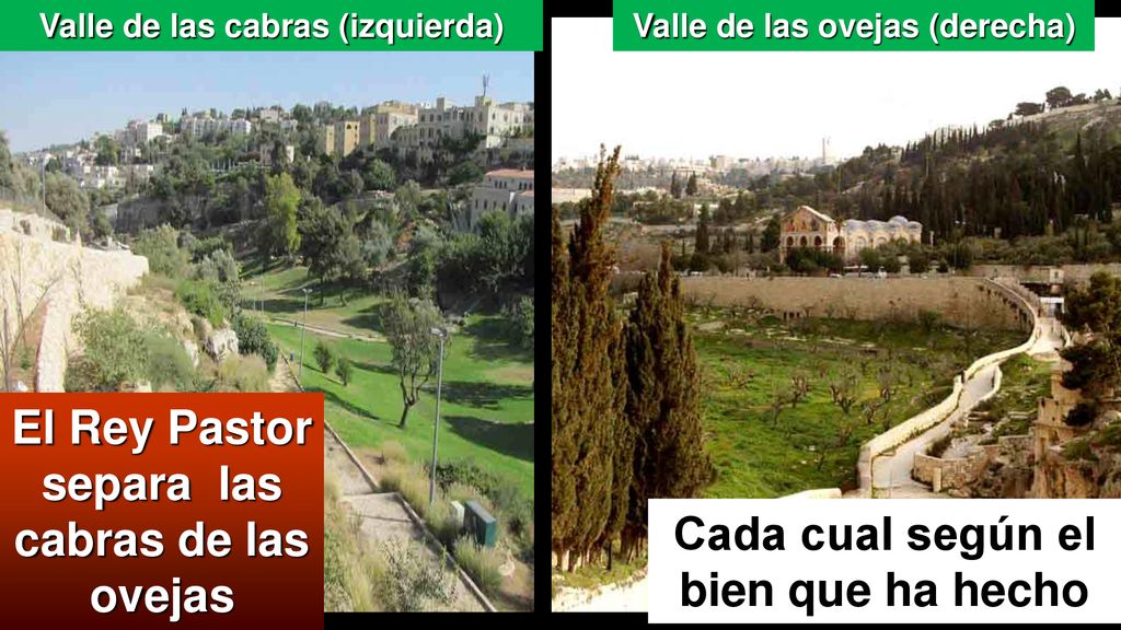El Rey Pastor separa las cabras de las ovejas