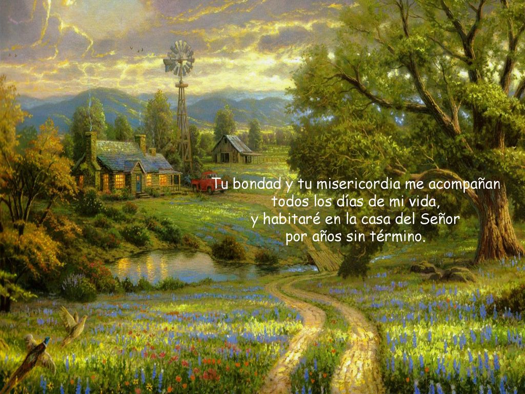 Tu bondad y tu misericordia me acompañan todos los días de mi vida,