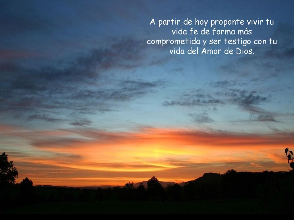 A partir de hoy proponte vivir tu vida fe de forma más comprometida y ser testigo con tu vida del Amor de Dios.