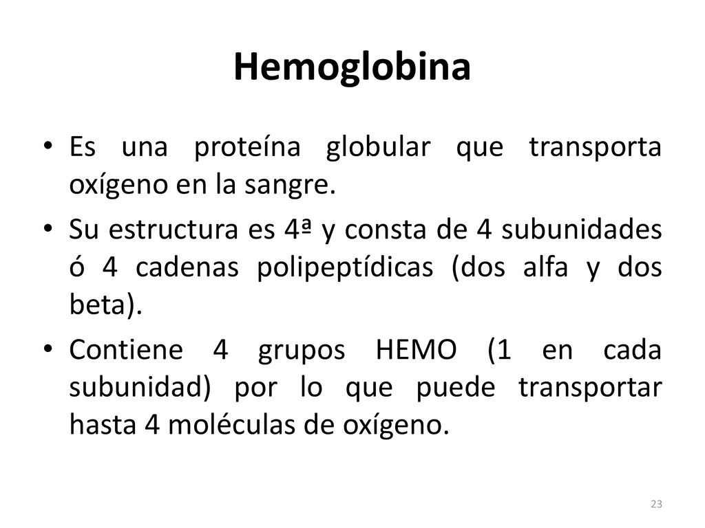 Hemoglobina Es una proteína globular que transporta oxígeno en la sangre.
