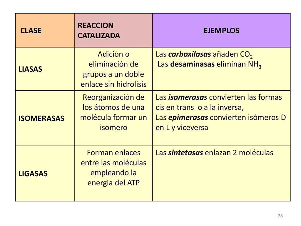 Adición o eliminación de grupos a un doble enlace sin hidrolisis