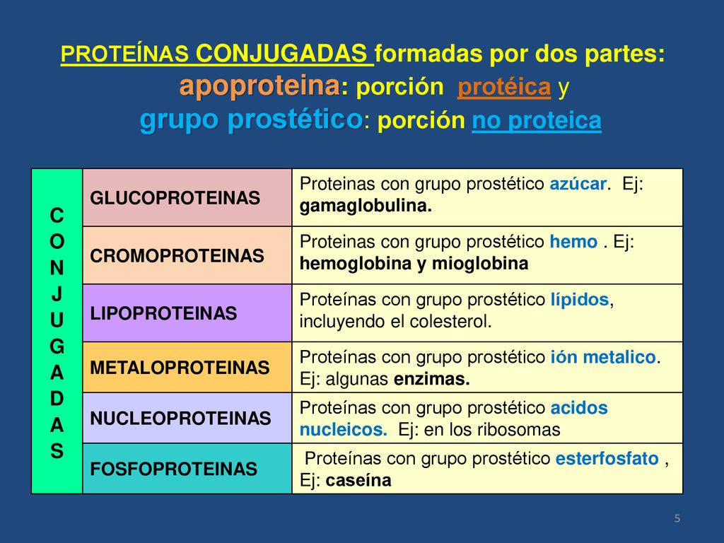 PROTEÍNAS CONJUGADAS formadas por dos partes: apoproteina: porción protéica y grupo prostético: porción no proteica