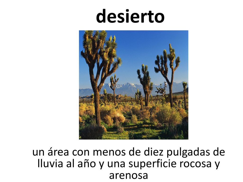 desierto un área con menos de diez pulgadas de lluvia al año y una superficie rocosa y arenosa