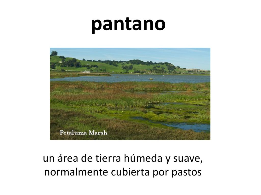 un área de tierra húmeda y suave, normalmente cubierta por pastos