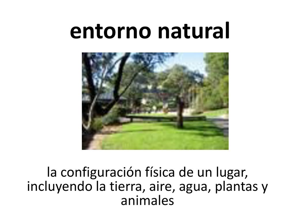 entorno natural la configuración física de un lugar, incluyendo la tierra, aire, agua, plantas y animales.