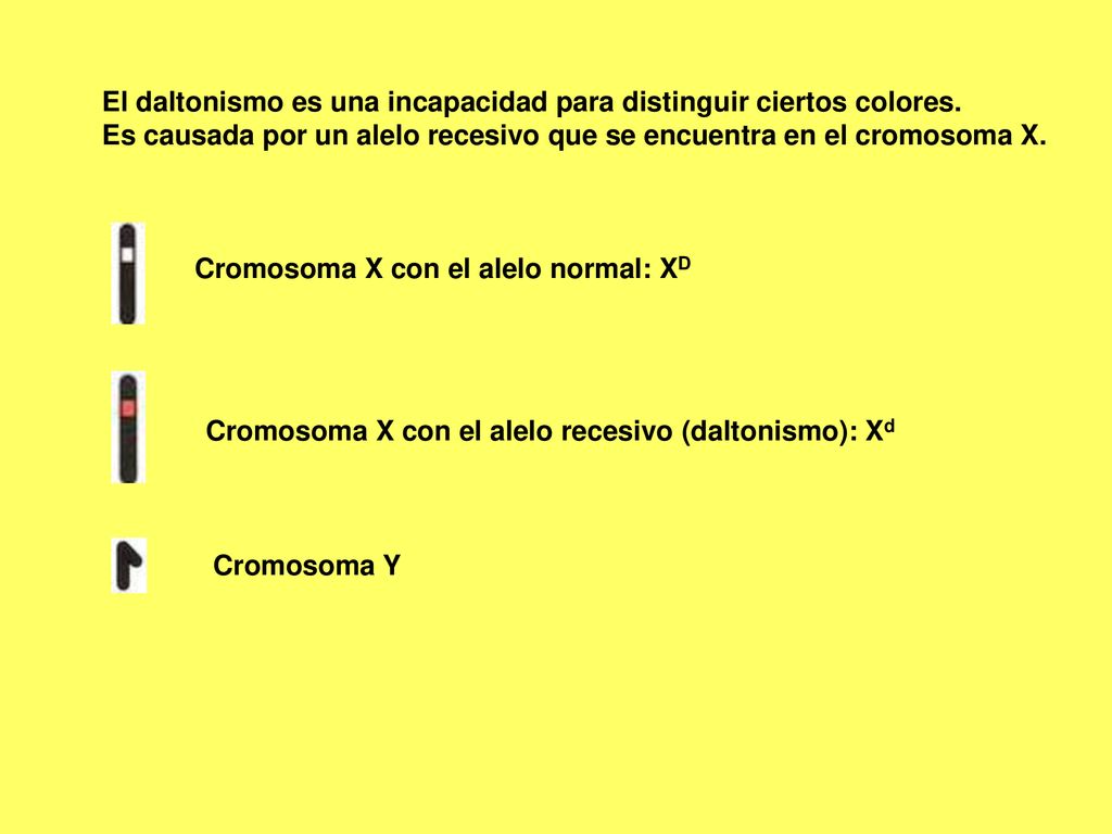 El daltonismo es una incapacidad para distinguir ciertos colores.