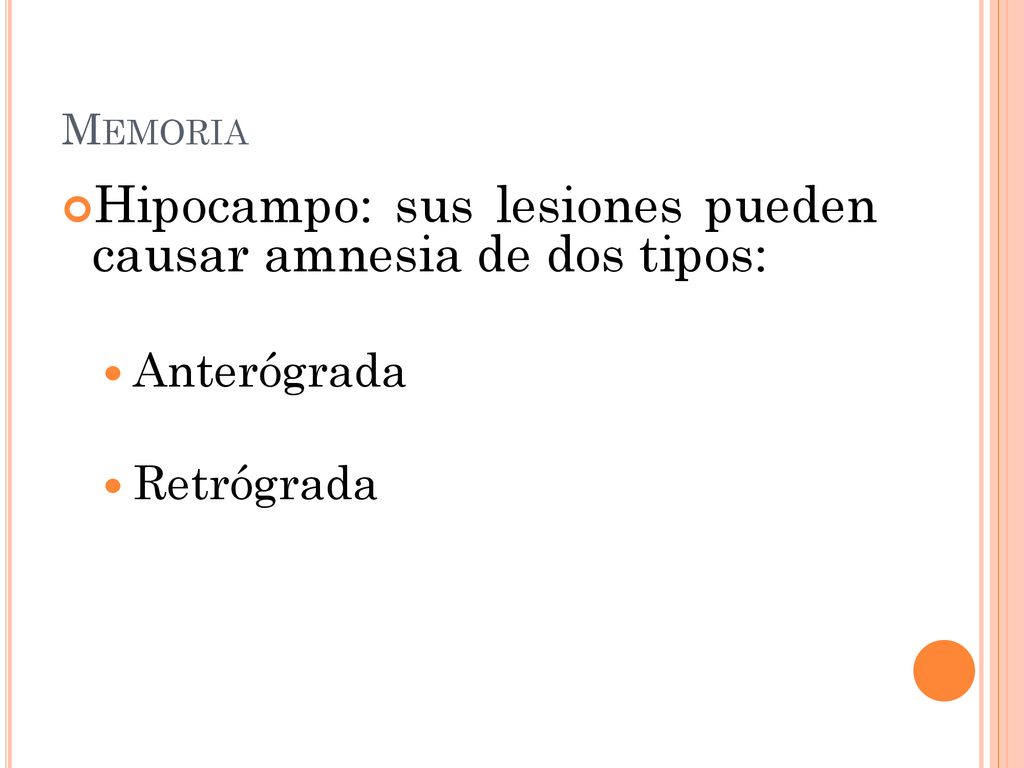 Hipocampo: sus lesiones pueden causar amnesia de dos tipos: