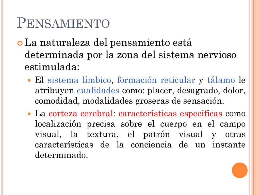 Pensamiento La naturaleza del pensamiento está determinada por la zona del sistema nervioso estimulada: