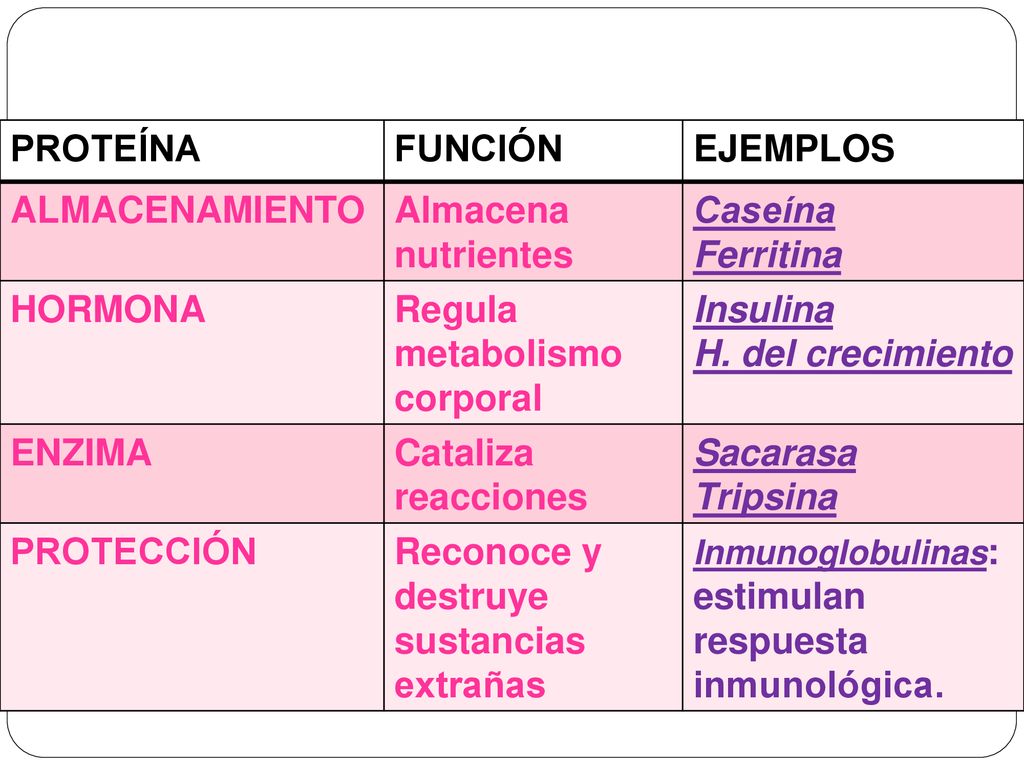 Regula metabolismo corporal Insulina H. del crecimiento