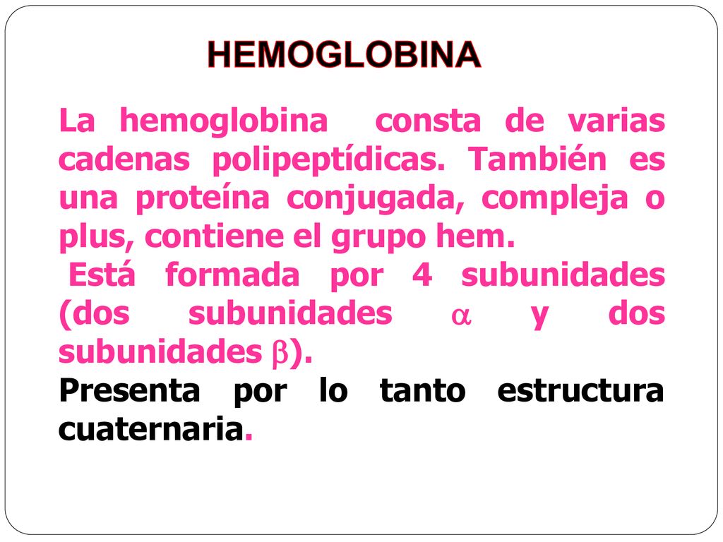 HEMOGLOBINA La hemoglobina consta de varias cadenas polipeptídicas. También es una proteína conjugada, compleja o plus, contiene el grupo hem.