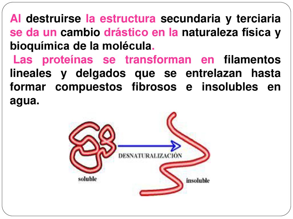 Al destruirse la estructura secundaria y terciaria se da un cambio drástico en la naturaleza física y bioquímica de la molécula.