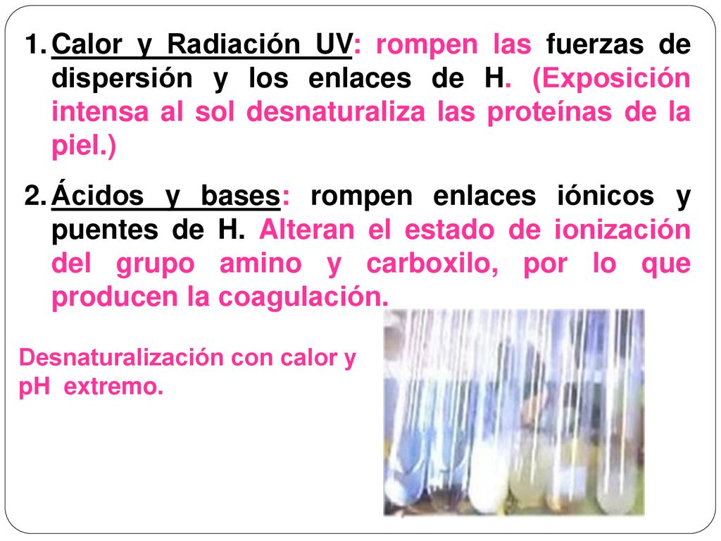 Calor y Radiación UV: rompen las fuerzas de dispersión y los enlaces de H. (Exposición intensa al sol desnaturaliza las proteínas de la piel.)
