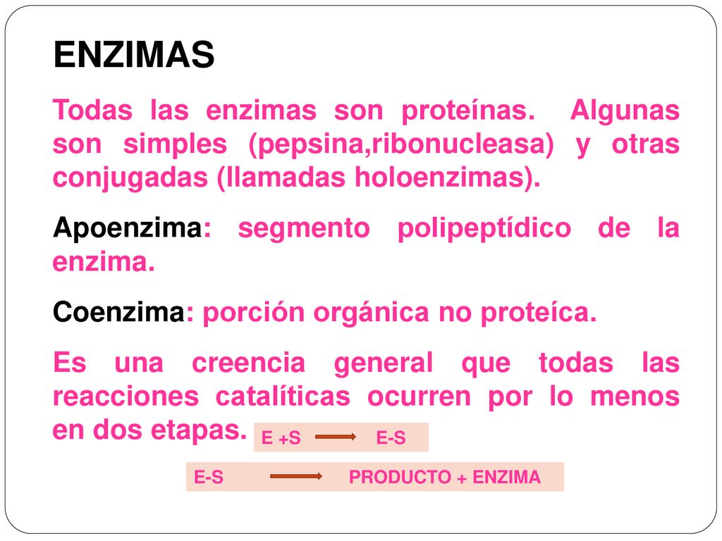 ENZIMAS Todas las enzimas son proteínas. Algunas son simples (pepsina,ribonucleasa) y otras conjugadas (llamadas holoenzimas).