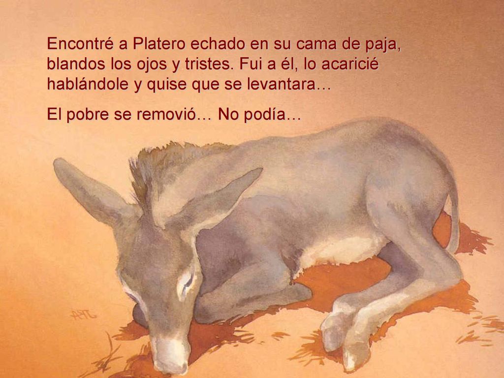 Encontré a Platero echado en su cama de paja, blandos los ojos y tristes. Fui a él, lo acaricié hablándole y quise que se levantara…