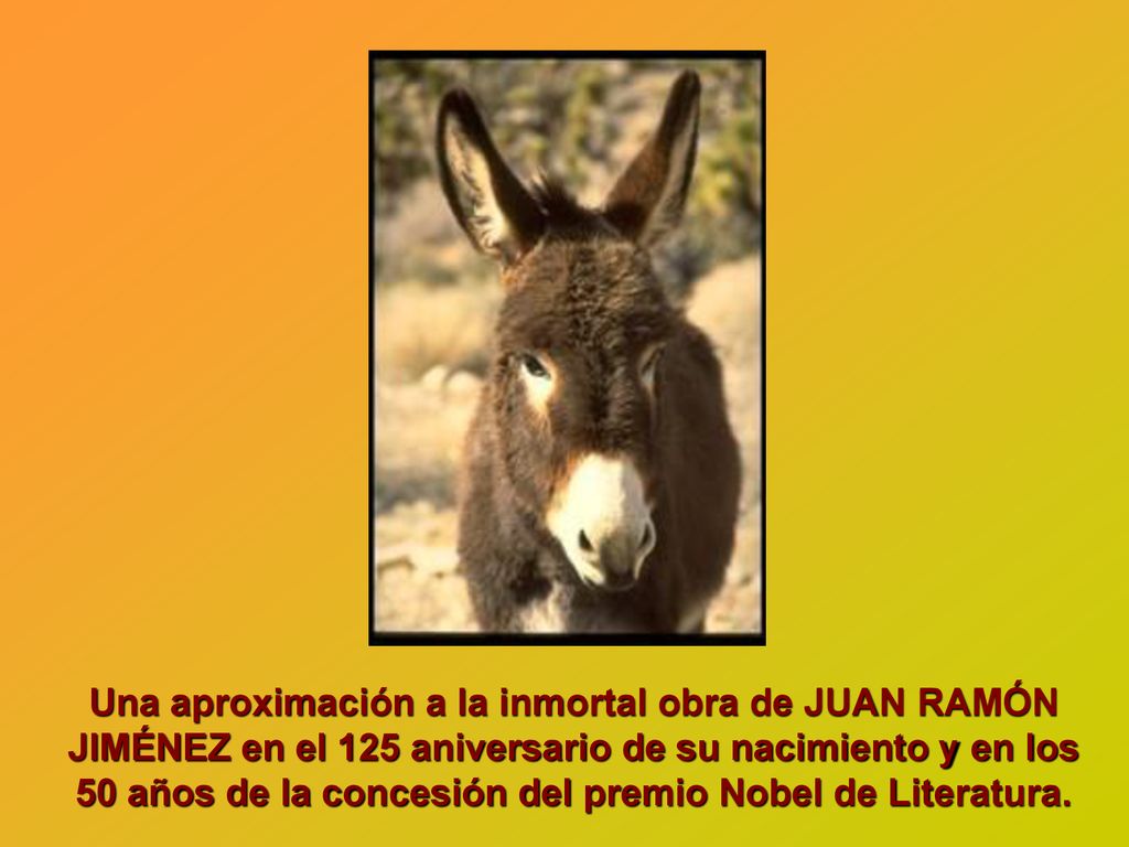 Una aproximación a la inmortal obra de JUAN RAMÓN JIMÉNEZ en el 125 aniversario de su nacimiento y en los 50 años de la concesión del premio Nobel de Literatura.