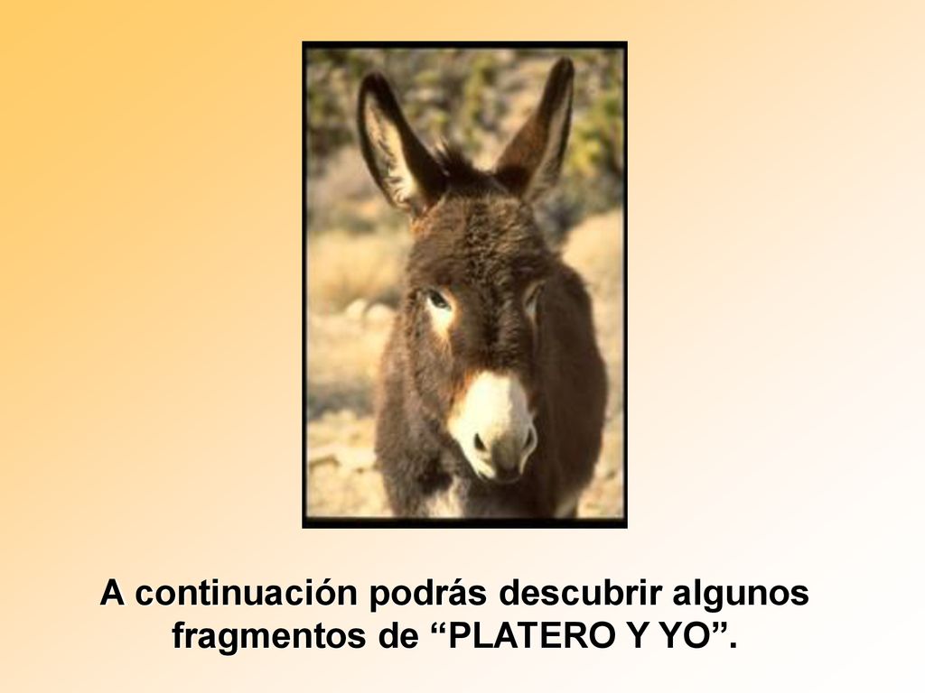 A continuación podrás descubrir algunos fragmentos de PLATERO Y YO .