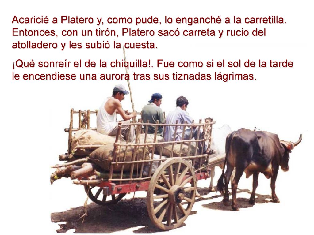 Acaricié a Platero y, como pude, lo enganché a la carretilla