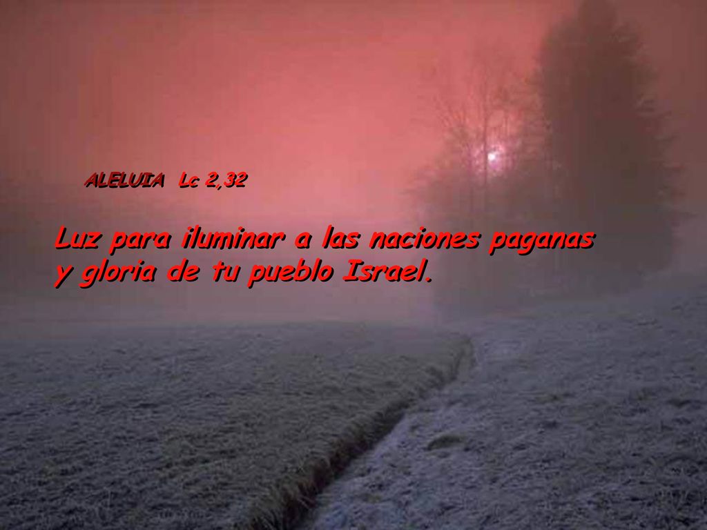 Luz para iluminar a las naciones paganas y gloria de tu pueblo Israel.