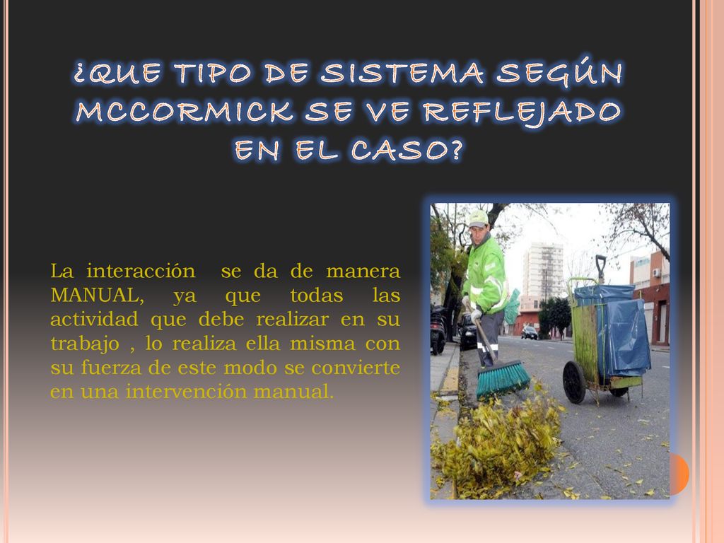 ¿QUE TIPO DE SISTEMA SEGÚN MCCORMICK SE VE REFLEJADO EN EL CASO