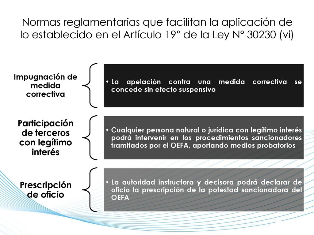 Normas reglamentarias que facilitan la aplicación de lo establecido en el Artículo 19° de la Ley Nº (vi)