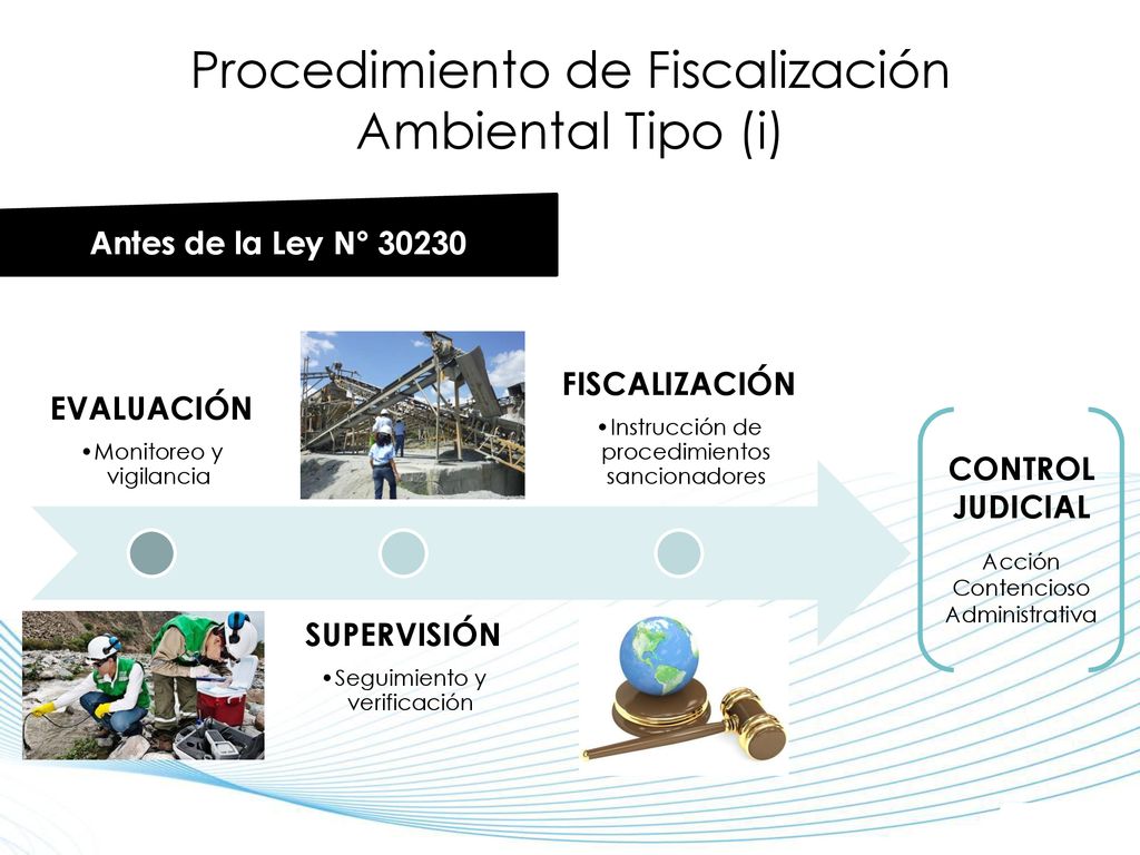 Procedimiento de Fiscalización Ambiental Tipo (i)