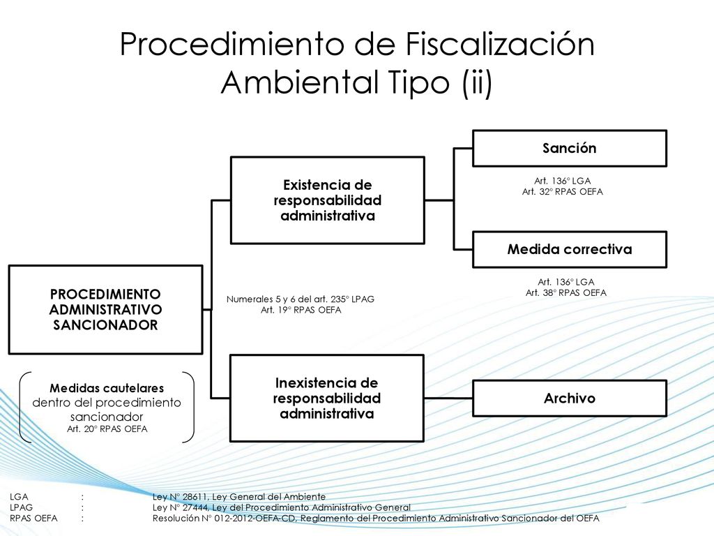 Procedimiento de Fiscalización Ambiental Tipo (ii)