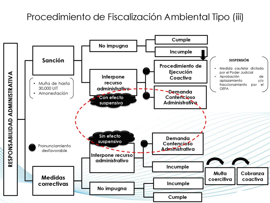Procedimiento de Fiscalización Ambiental Tipo (iii)
