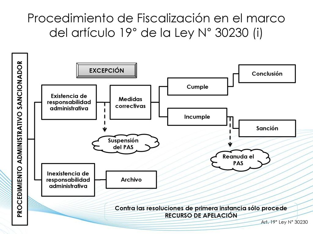 Procedimiento de Fiscalización en el marco del artículo 19° de la Ley N° (i)