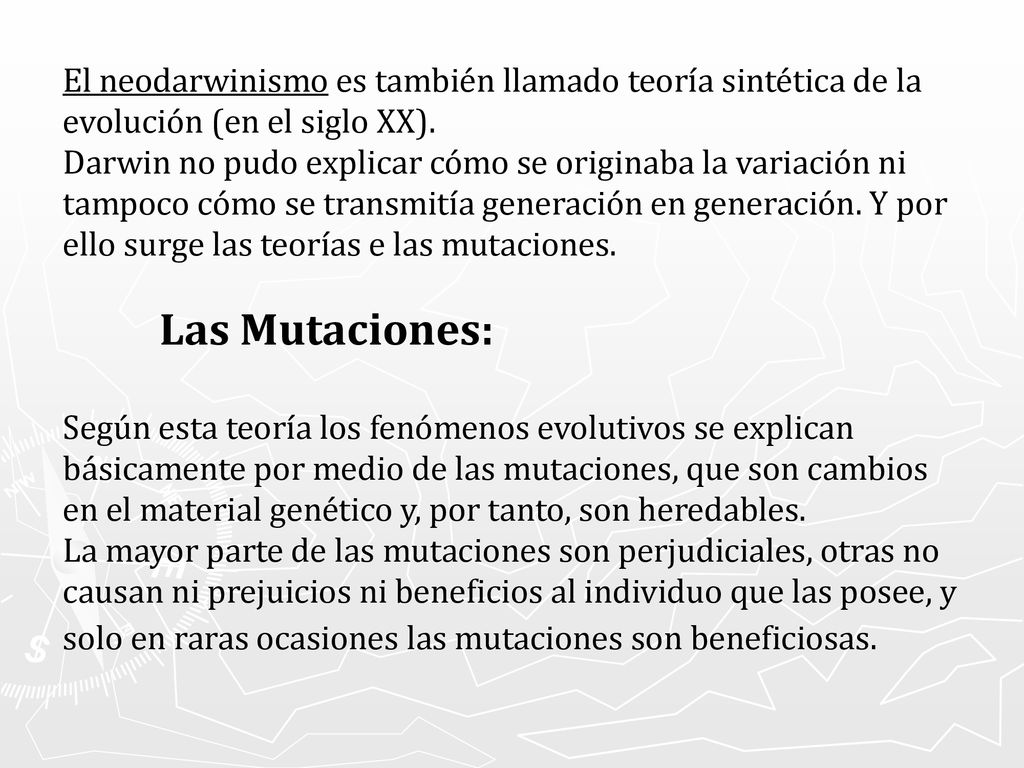 El neodarwinismo es también llamado teoría sintética de la evolución (en el siglo XX).