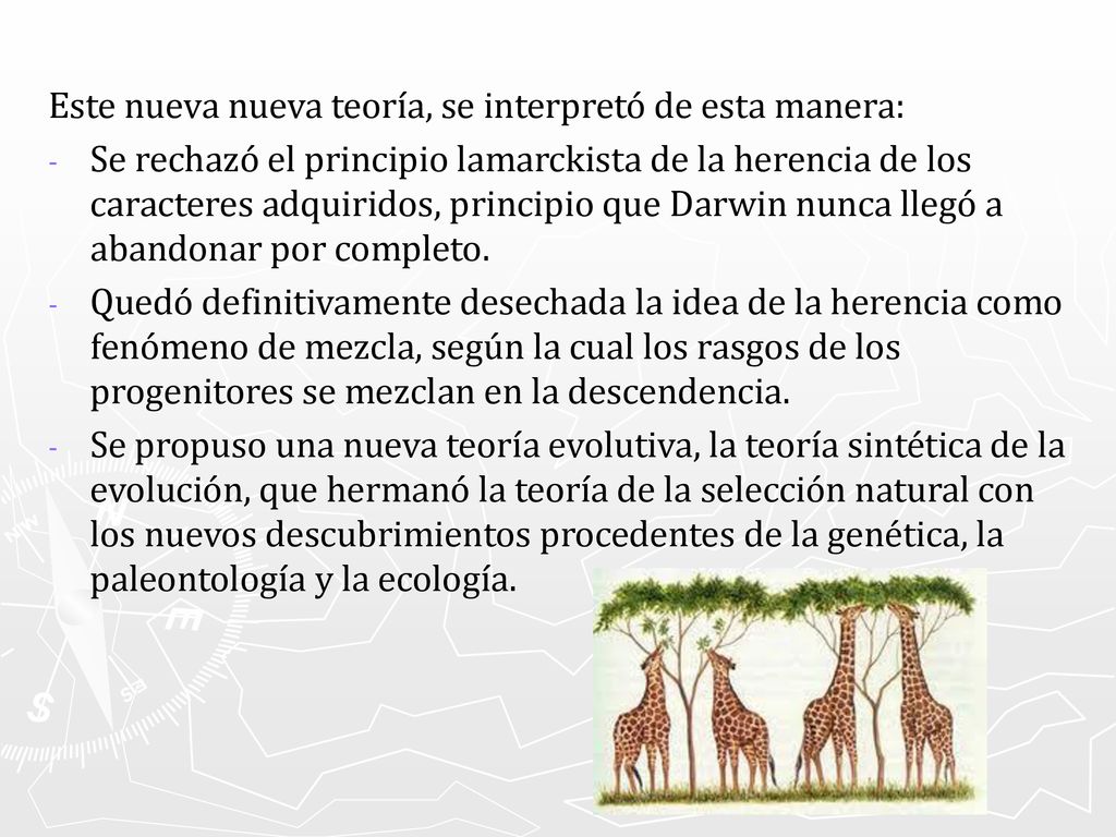 Este nueva nueva teoría, se interpretó de esta manera: