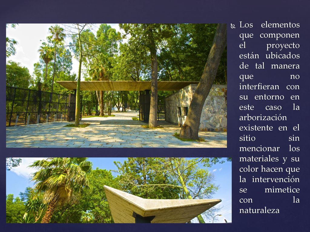 Los elementos que componen el proyecto están ubicados de tal manera que no interfieran con su entorno en este caso la arborización existente en el sitio sin mencionar los materiales y su color hacen que la intervención se mimetice con la naturaleza