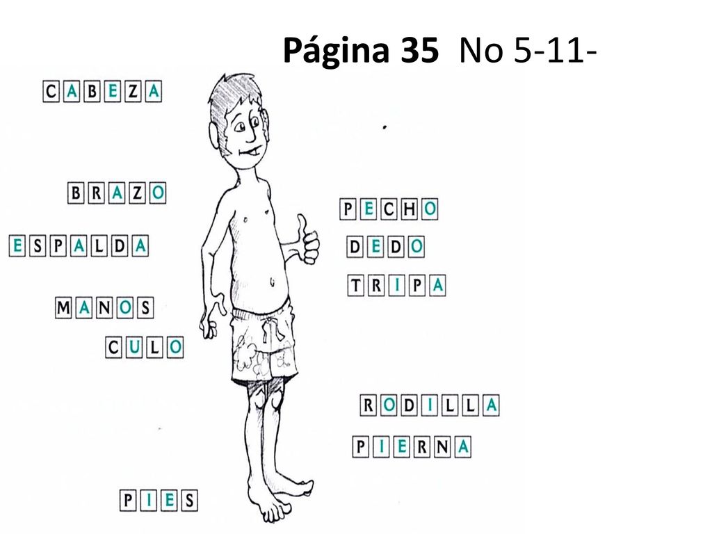 Página 35 No 5-11-