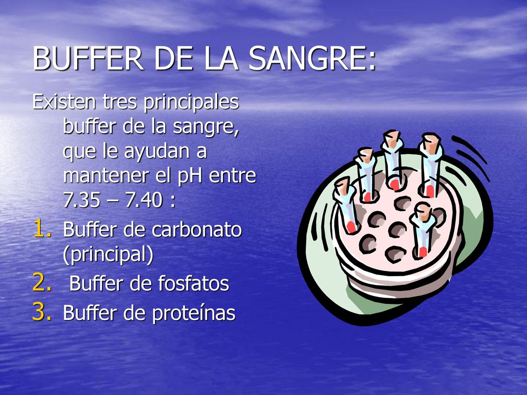 BUFFER DE LA SANGRE: Existen tres principales buffer de la sangre, que le ayudan a mantener el pH entre 7.35 – 7.40 :