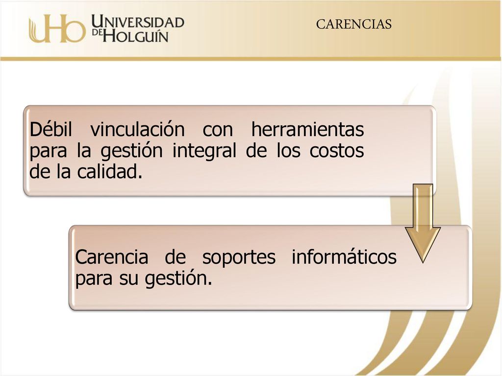 CARENCIAS Débil vinculación con herramientas para la gestión integral de los costos de la calidad.